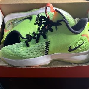 Lebron witness v (gs)